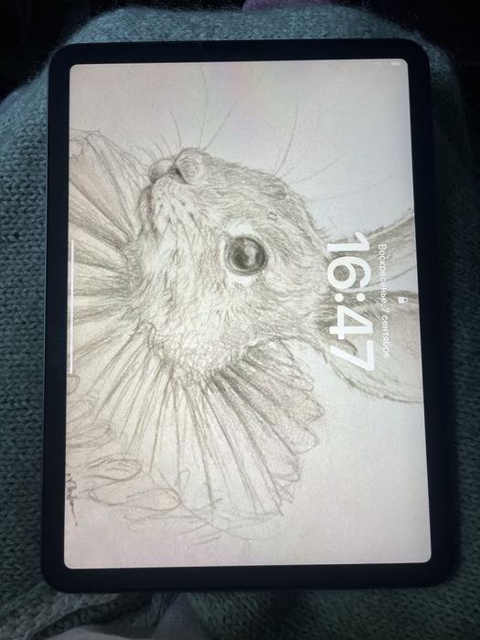 IPad Air (4-го покоління) В дуже гарному стані