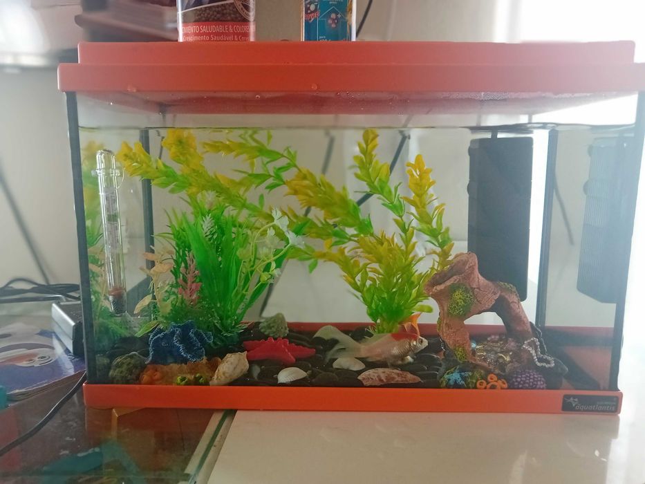 Aquario+ bio filter 200