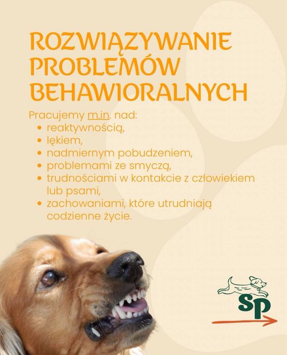 Zajecia dla psów i ich przewodników