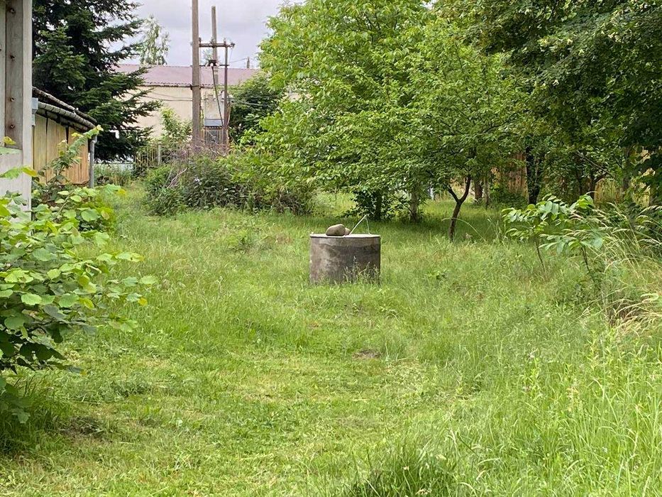 Приміщення 1230 м2 та земельна ділянка 0,35 га в с. Вістова