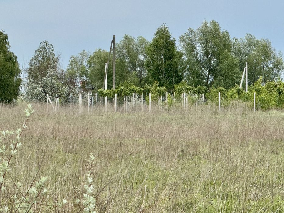 Земельна ділянка фасадна! 3га!! Бориспіль!