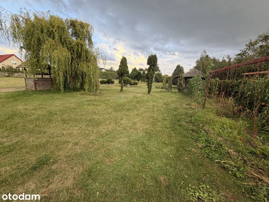 Sprzedam Działkę - 13 441 m² – Nowe Koziminy, gmina Płońsk