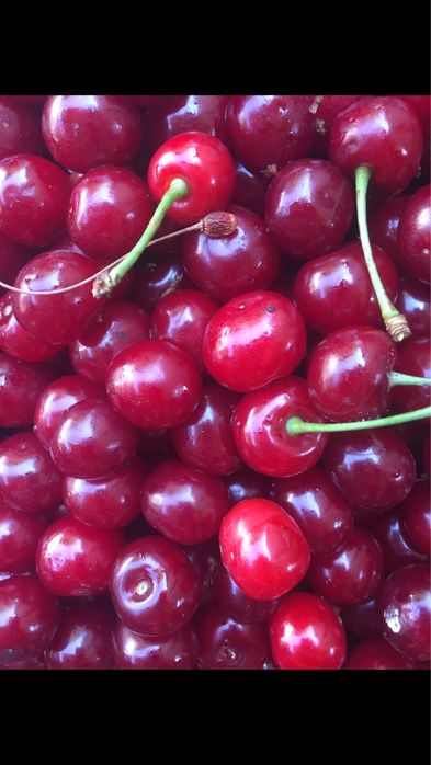 Обмен продукты питания. Вишня замороженная