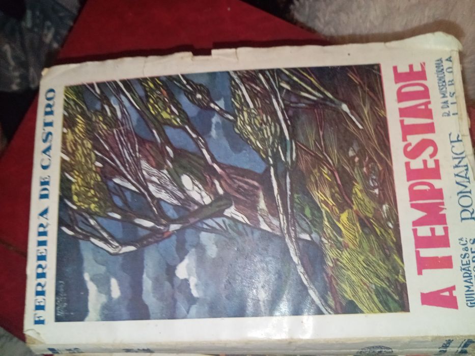 Dois livros antigos defeito