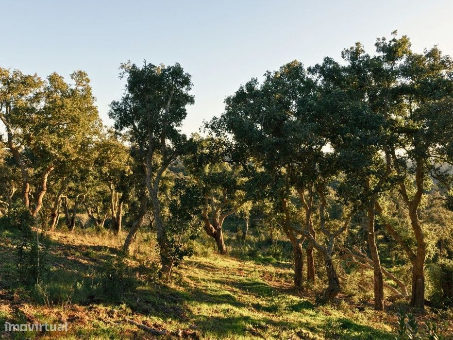 Propriedade investimento, vista mar, S. Francisco da Serra-Melides