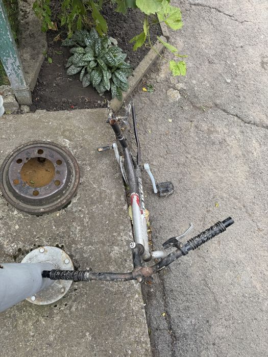 Рама Велосипед Ardis 24”