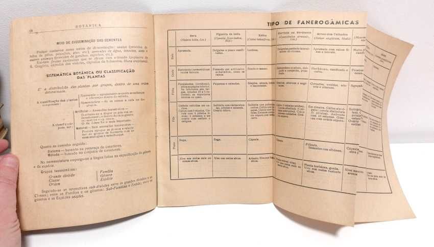 Botânica Simplificada em Quadros para o Curso Geral dos Liceus
