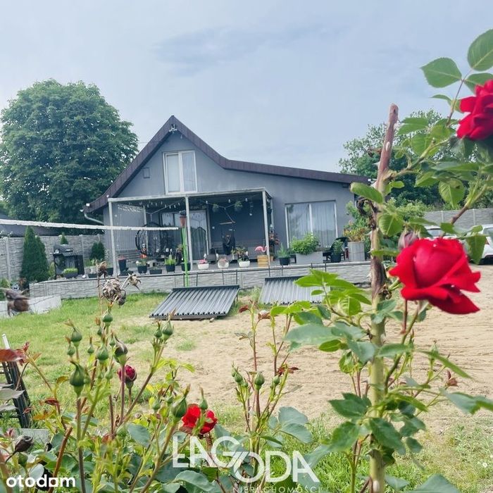 Nowe Kurowo - Dom po remoncie 120 m², Dz 1105 m²