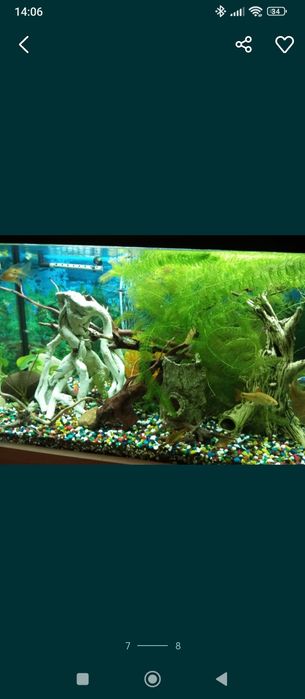 Kolorowe kamyczki do akwarium