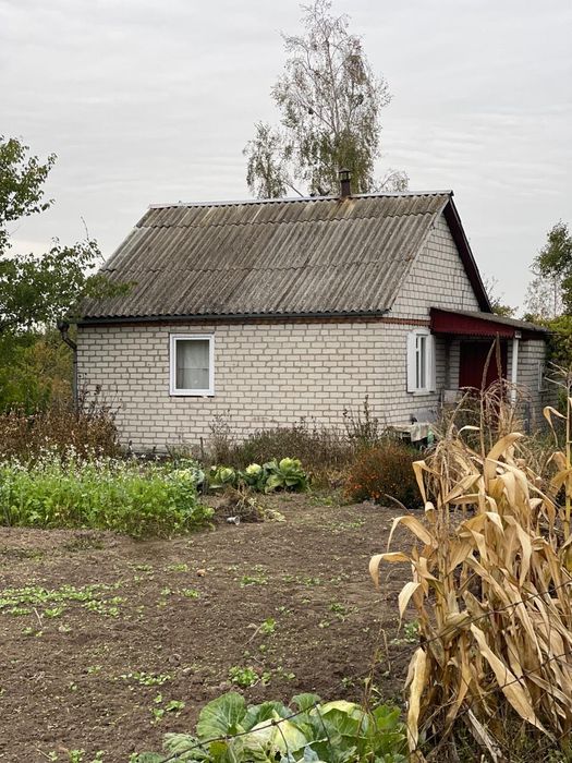 Дача з будиночком (на ветерані)