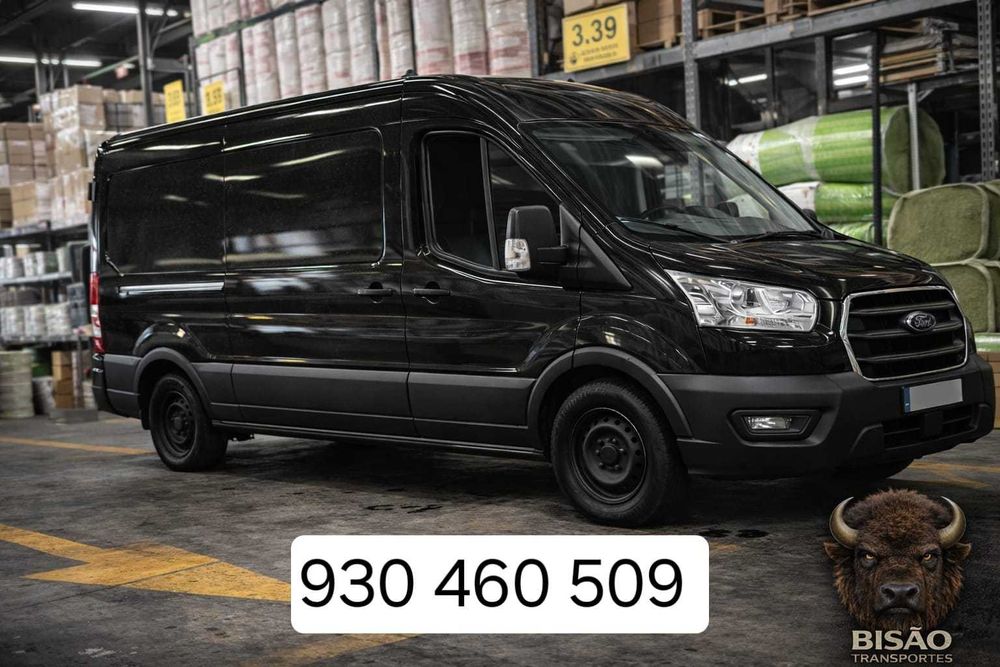 Carrinha - eletrodomésticos, móveis pesados