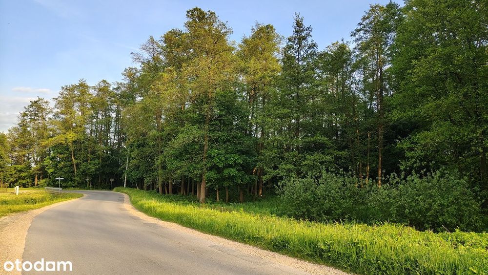 Działka INWESTYCYJNA od południowej obwodnicy Krakowa - Widok 5