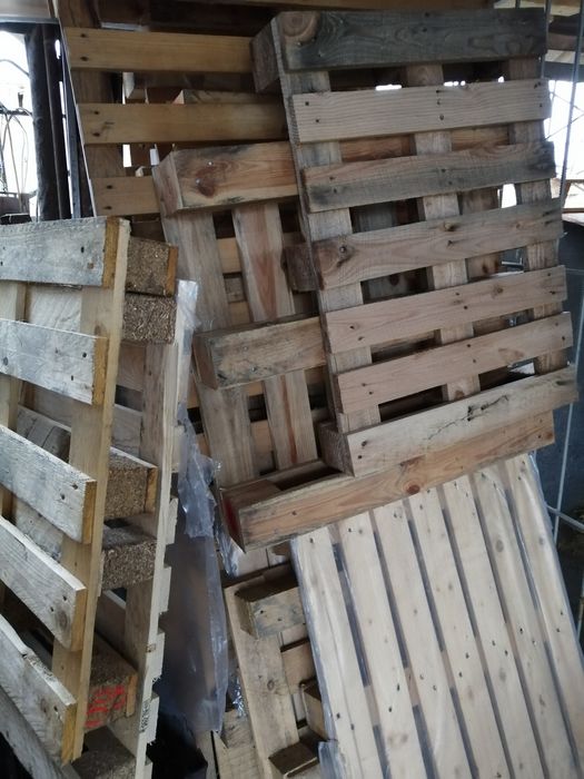 продам європіддони