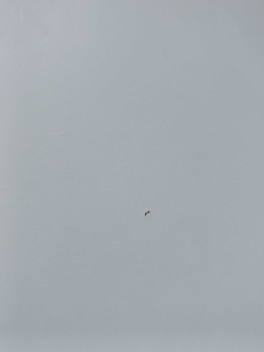 Stolik kawowy sonoma