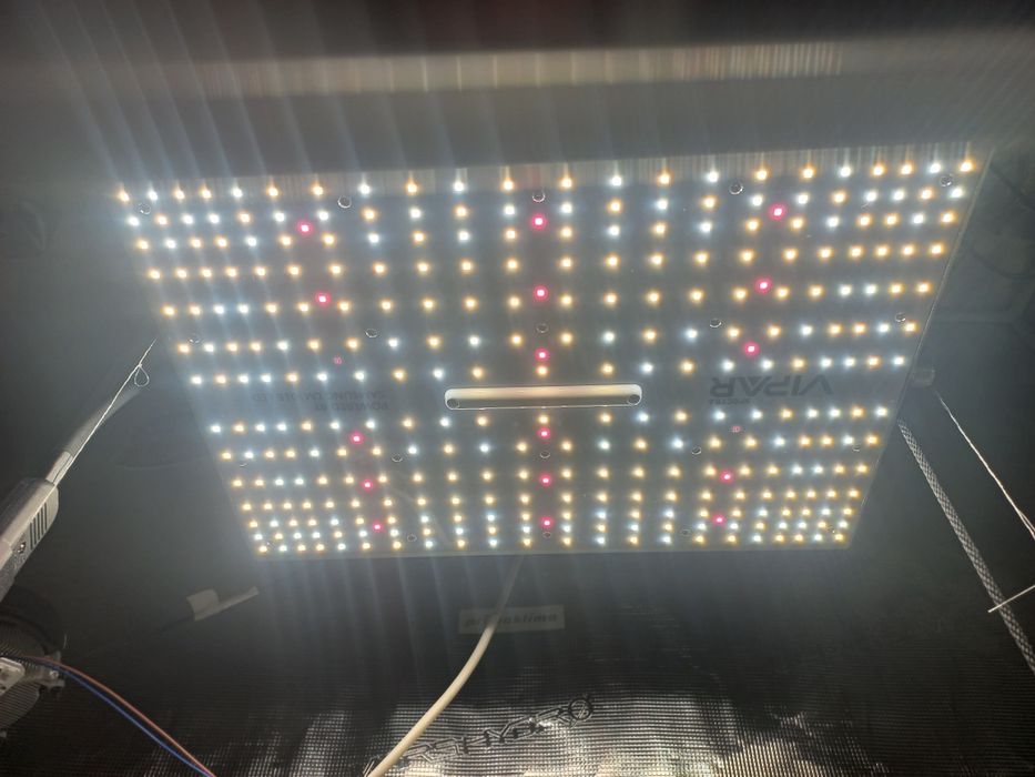 HPS Killer Grow Led Viparspectra XS1500 Samsung Lm301