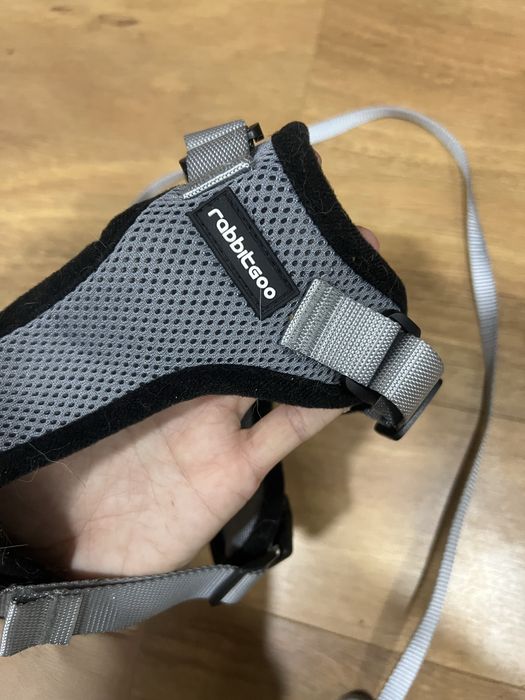 1 corpete / trela anti fuga para gato ou animal pequeno