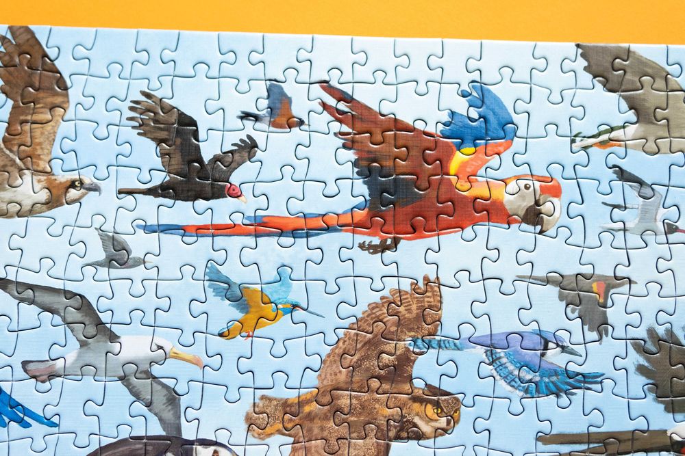 Puzzle Peter Pauper Press All the Birds 1000 el kompletne