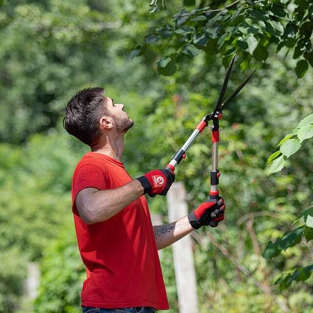 Ножиці садові з телескопічними ручками. INTERTOOL FT-1117.