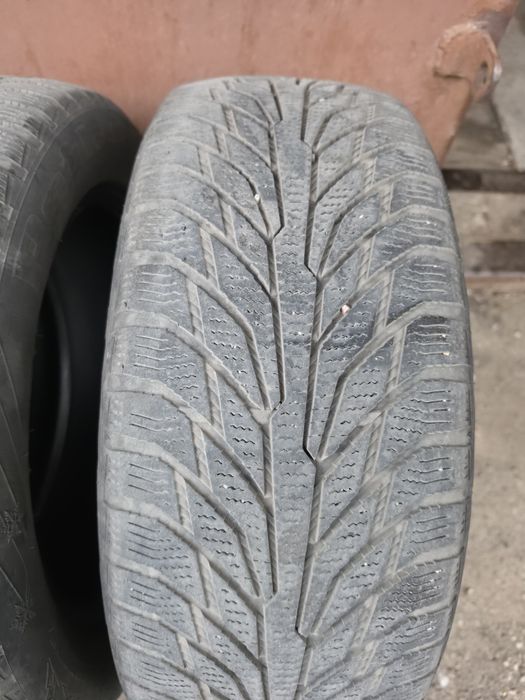 Зимові шини Petlas Glacier W661 215/55 r17