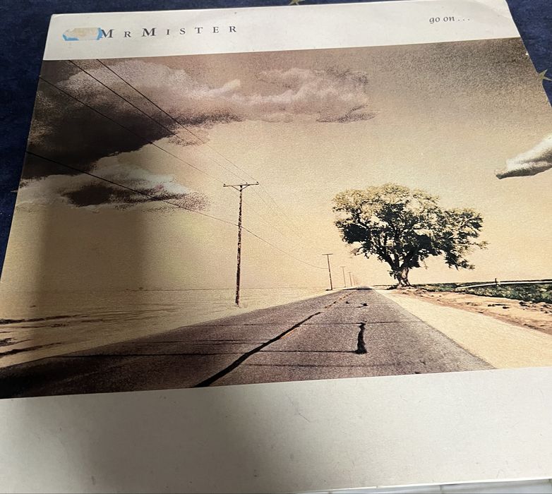 Discos de Vinil - Pop , Rock e electronica em bom estado