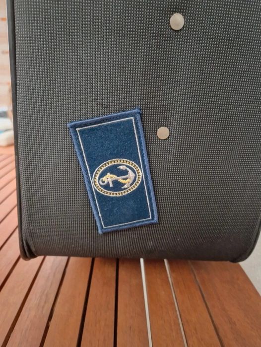 Mala de viagem cinzenta Deluxury