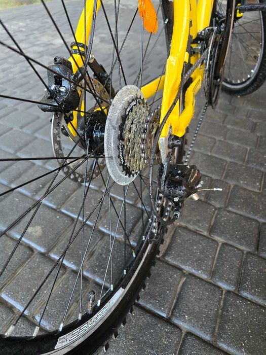 Rower arkus beryl 260