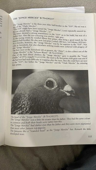 ***Top 100% Gerb. Janssen ***