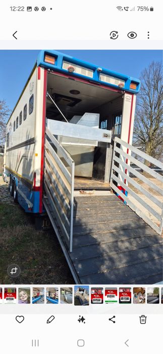 Koniowóz Scania 113H