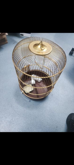 Gaiola dourada para pássaro