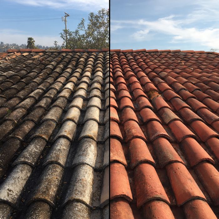 Limpeza de telhados, impermeabilização, pintura geral