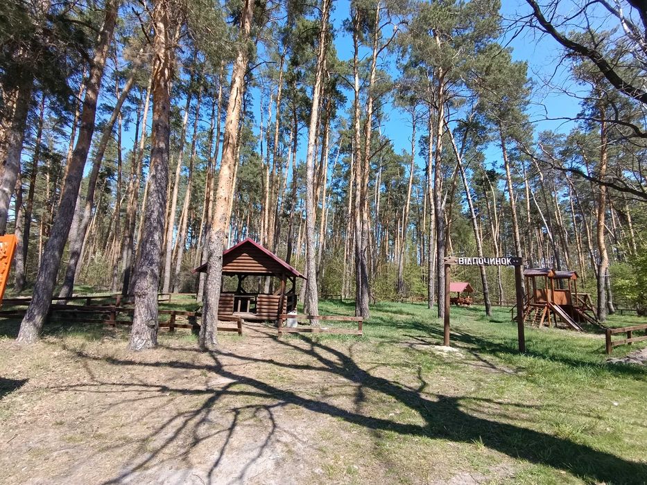 Продаж  будинку 169 м.кв. біля лісу 60 соток землі Поташня, Кочеров, Радомишль
