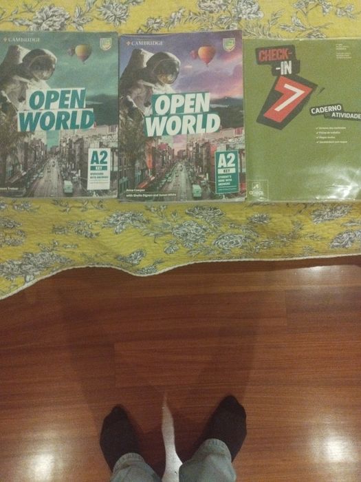 Livros escolares inglês