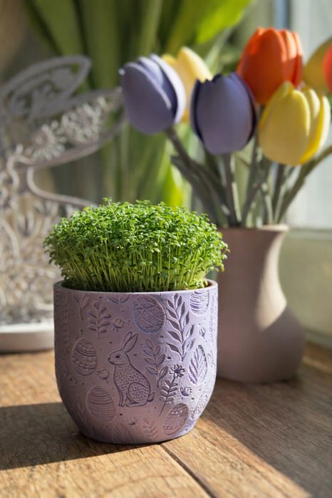 Doniczka na domowe uprawy np. rzeżuchę