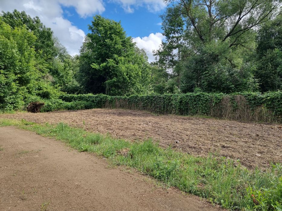 SPRZEDAM DZIAŁKĘ ROD do własnej aranżacji – ROD "Plażowy" | 300 m²