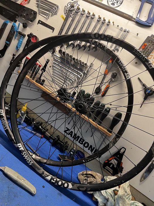 Rodas dtSwiss 29
