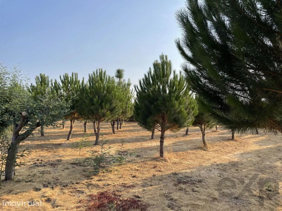 Terreno Agrícola para venda em Vila Verde, Seia — Tourais E Lajes, Guarda