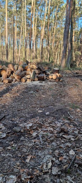 Witam sprzedam drewno