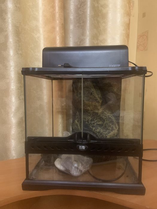 Стеклянный террариум