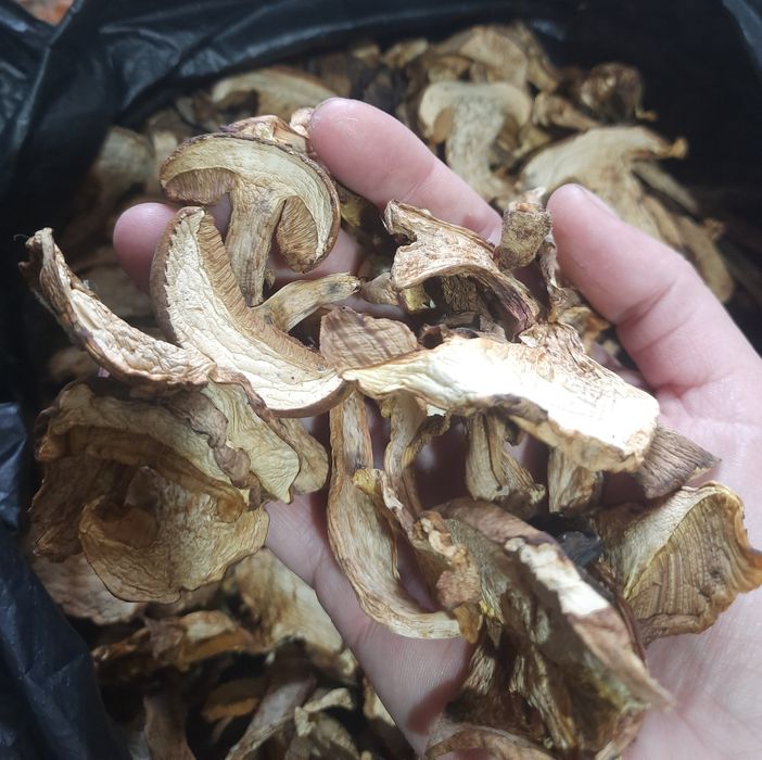 Білий гриб сушка 1200