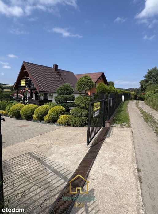 Zdjęcie 6