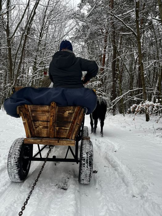 Sprzedam Wóz konny