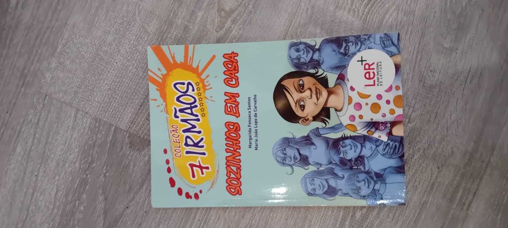 Coleção 7 irmãos E agora, Rafa?