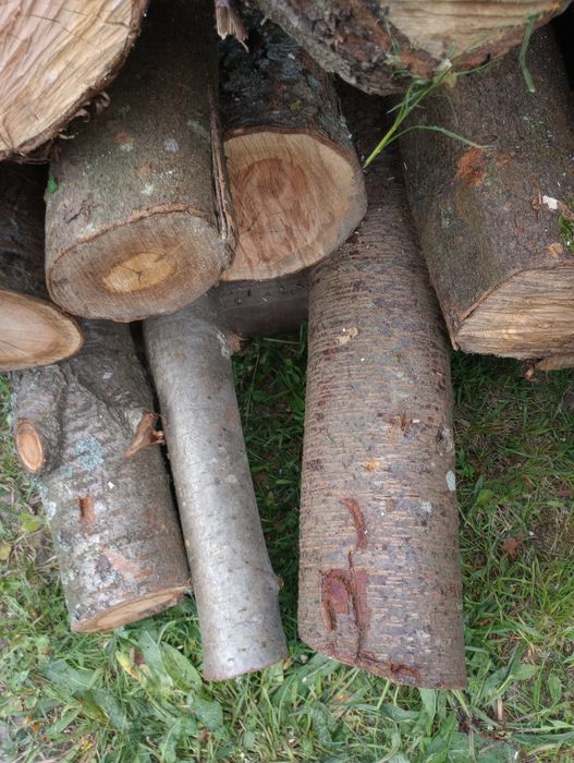 Drewno owocowe do wędzenia.