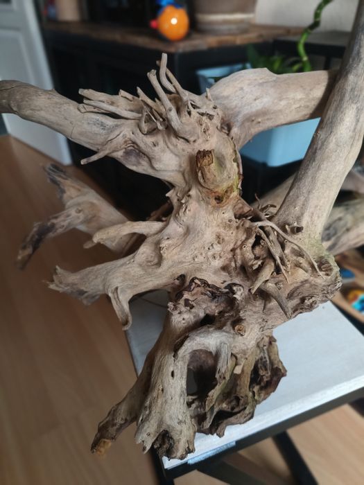 Korzeń do akwarium lub terrarium