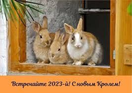 Древесный наполнитель от производителя для животных.Доставка бесплатно