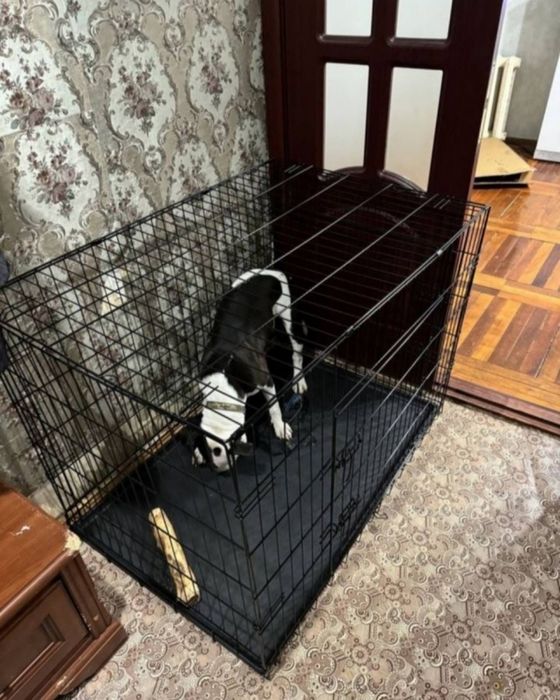 Клiтка для вашого улюбленця