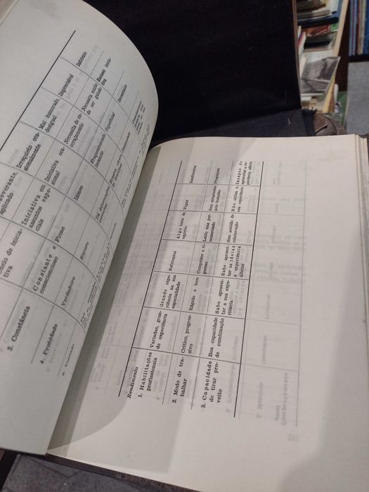 Psicologia das Relações Humanas nas Empresas  - Franziska Baumgarten