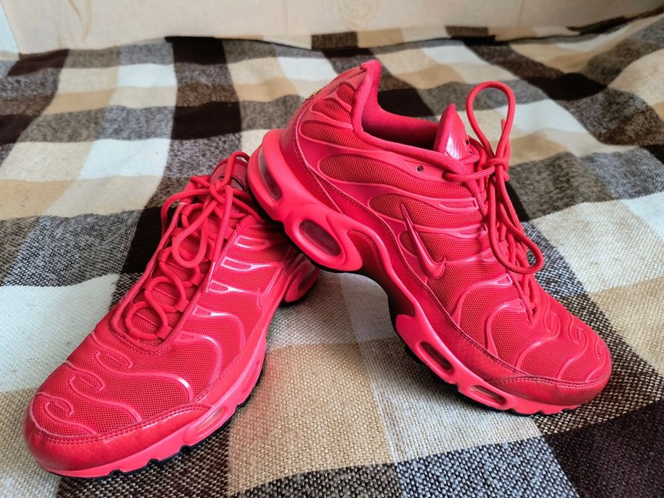 Кросівки Nike Air Max Plus