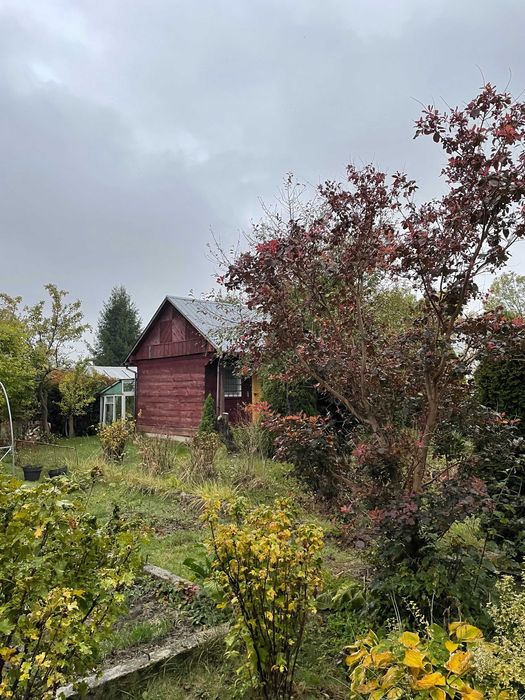 Działka ROD FASTY, Ogródek działkowy sprzedam