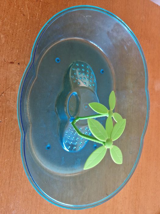 Tartarugueira Pequena